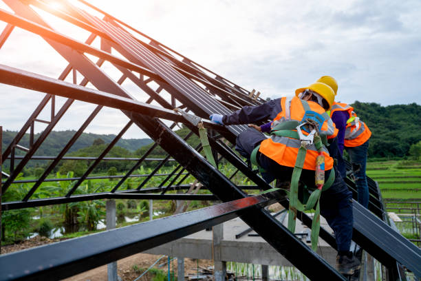 Best Roof Maintenance Services  in Bacliff, TX