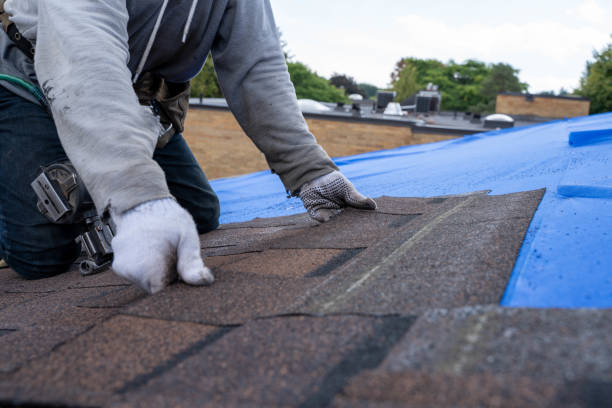 Best Storm Damage Roof Repair  in Bacliff, TX