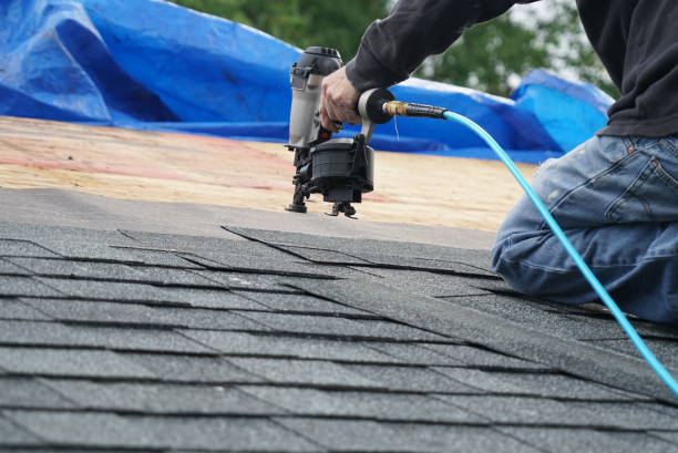 Best Metal Roofing Contractor  in Bacliff, TX