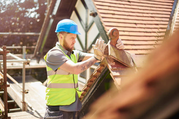 Best Roof Repair Services  in Bacliff, TX